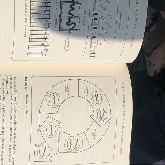 Dr Susan Love's Breast Book 2000 3rd Ed Fully Revised Paperback Breast Cancer - Picture 5 of 12